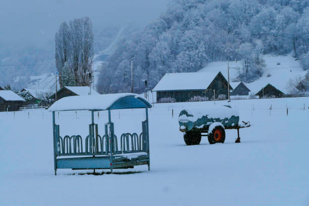 Rural winter motivs