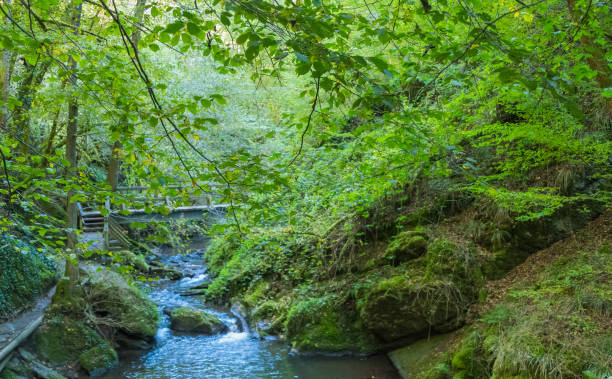 istock Landscape idyll of Ehrbachklamm Germany 2182915759