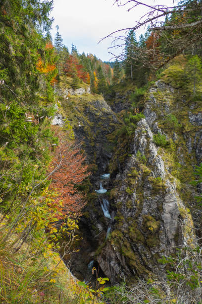 istock River Valepp in Gorge of Mountain Rotwand Germany 2182915893