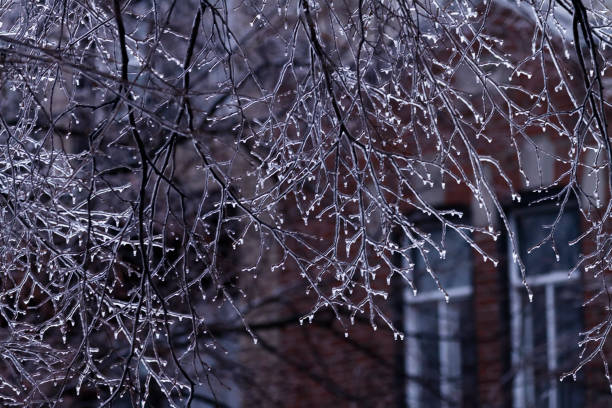Freezing rain is a type of precipitation that falls as liquid rain but freezes upon contact with cold surfaces, forming a layer of ice. This phenomenon occurs when a warm layer of air is sandwiched between two layers of cold air in the atmosphere. As precipitation falls, it melts into rain in the warm layer, then passes through the cold layer near the ground, where it becomes supercooled—liquid but below freezing point. When this supercooled rain contacts surfaces, it instantly freezes, creating a slick and often hazardous layer of ice on roads, sidewalks, trees, and power lines.