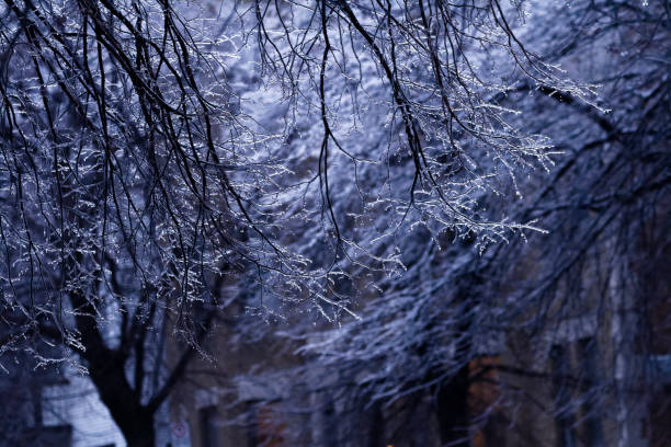 Freezing rain is a type of precipitation that falls as liquid rain but freezes upon contact with cold surfaces, forming a layer of ice. This phenomenon occurs when a warm layer of air is sandwiched between two layers of cold air in the atmosphere. As precipitation falls, it melts into rain in the warm layer, then passes through the cold layer near the ground, where it becomes supercooled—liquid but below freezing point. When this supercooled rain contacts surfaces, it instantly freezes, creating a slick and often hazardous layer of ice on roads, sidewalks, trees, and power lines.