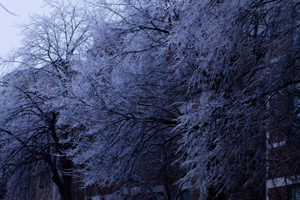 Freezing rain is a type of precipitation that falls as liquid rain but freezes upon contact with cold surfaces, forming a layer of ice. This phenomenon occurs when a warm layer of air is sandwiched between two layers of cold air in the atmosphere. As precipitation falls, it melts into rain in the warm layer, then passes through the cold layer near the ground, where it becomes supercooled—liquid but below freezing point. When this supercooled rain contacts surfaces, it instantly freezes, creating a slick and often hazardous layer of ice on roads, sidewalks, trees, and power lines.