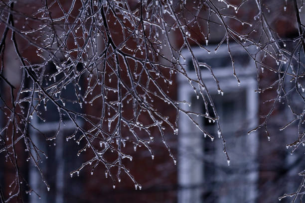 Freezing rain is a type of precipitation that falls as liquid rain but freezes upon contact with cold surfaces, forming a layer of ice. This phenomenon occurs when a warm layer of air is sandwiched between two layers of cold air in the atmosphere. As precipitation falls, it melts into rain in the warm layer, then passes through the cold layer near the ground, where it becomes supercooled—liquid but below freezing point. When this supercooled rain contacts surfaces, it instantly freezes, creating a slick and often hazardous layer of ice on roads, sidewalks, trees, and power lines.