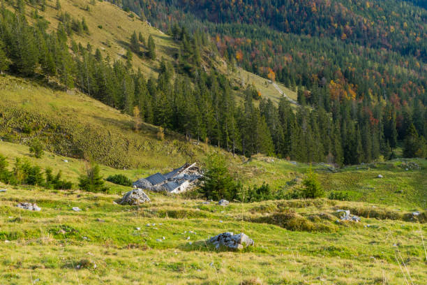 Symbolic Avalanche damage
