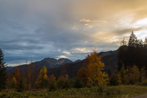 Beauty in Nature Sunsets