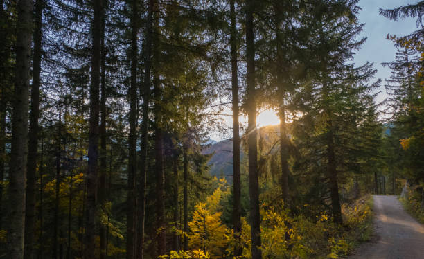 Beauty in Nature Sunsets