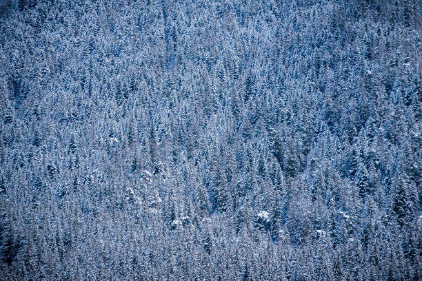 Alpine Landscapes Bavaria