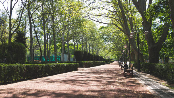istock A path walking leading through park forest green trees plants around 2182929201