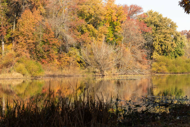 istock Jacksons Pond in Clark New Jersey during Autumn 2182929612