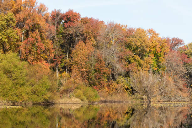 istock Jacksons Pond in Clark New Jersey during Autumn 2182929693