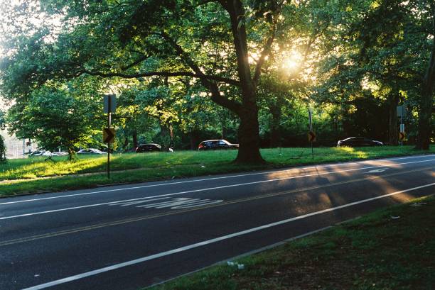 istock Sunbeams, Fairmount Park 2182932493