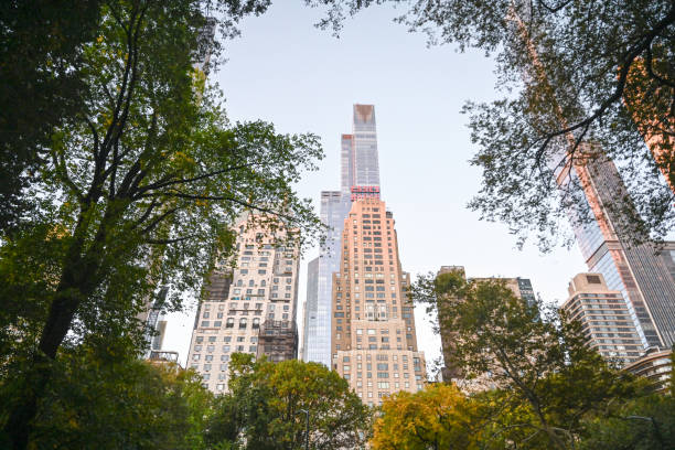Defocused background of Central Park, New York City, USA. Intentionally blurred post production for bokeh effect