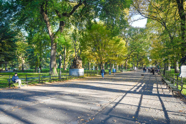 Central Park, New York City during autumn. Photographed on 10/25/23
