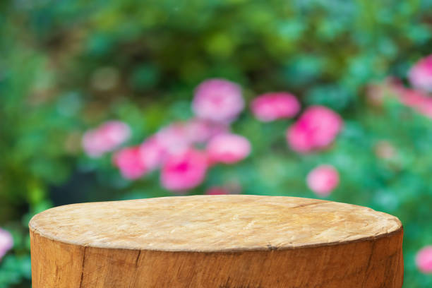 istock Empty old tree stump table top with blur rose garden background for product display 2182942087