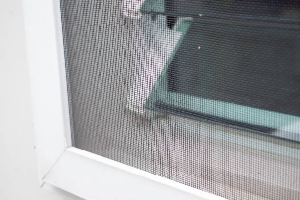 istock mosquito net wire screen on house window protection against insect 2182942695