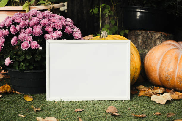 istock Autumn garden display with pumpkins, flowers, and empty sign in serene setting 2182943119