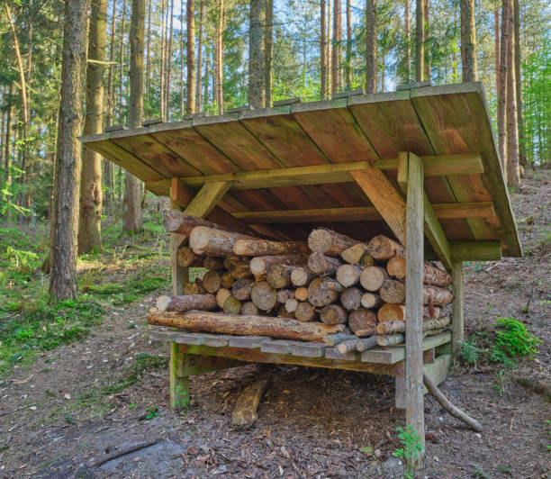 istock Firewood shed with firewood in front 2182944196