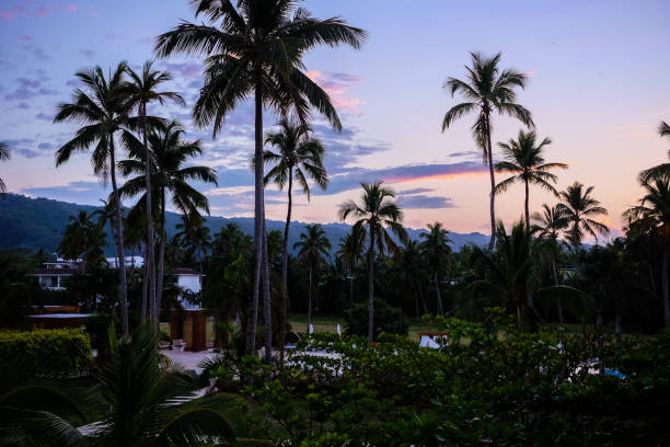 This breathtaking view from a tropical island resort overlooks a pristine beach and coastline, where brilliant, clear water stretches out into a calm channel. The turquoise hues of the ocean blend with the white sands and lush palms