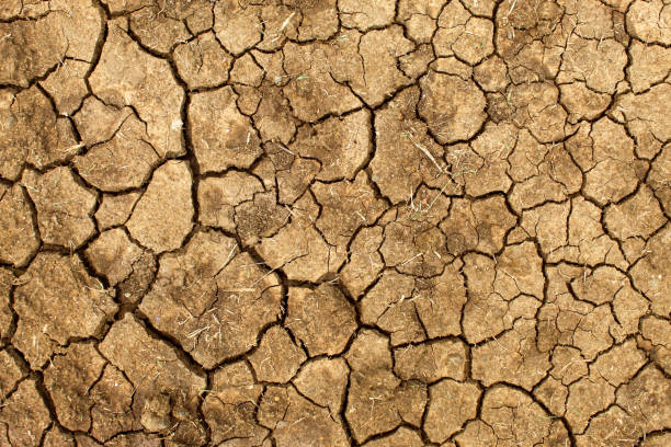 istock Dry soil texture is cracked. cracked pattern on the soil 2182945856