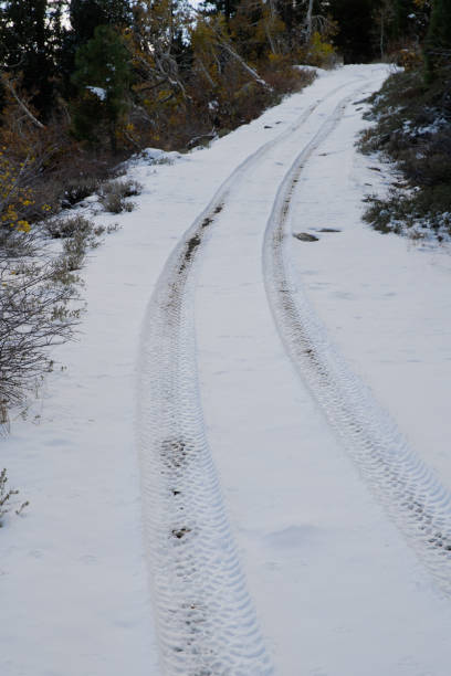 Tire tracks on snowy and steep dirt road. Vertical.