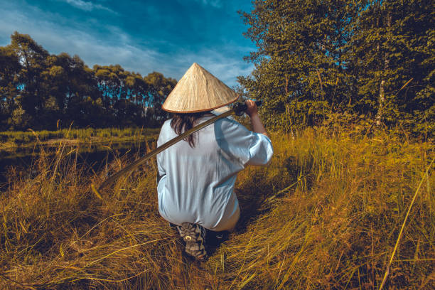 istock A woman dressed as a samurai crouched in the tall grass by the river, holding a katana over her shoulder and wearing a conical straw hat. A female samurai with a katana ready for battle. 2182965093
