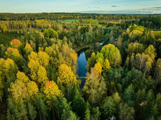 istock Aerial view of autumn forest and river 2182978434