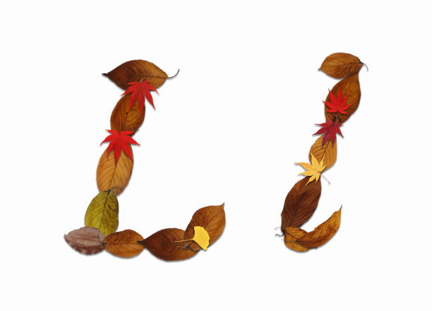 Roman letters drawn using dead leaves. They can be used for a variety of purposes, such as using them alone as symbols or combining them to draw words.