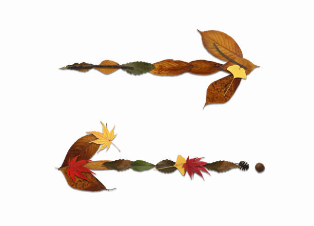 Symbols drawn on a dead leaves. They can be used for a variety of purposes, such as using them alone as symbols or combining them to draw words.