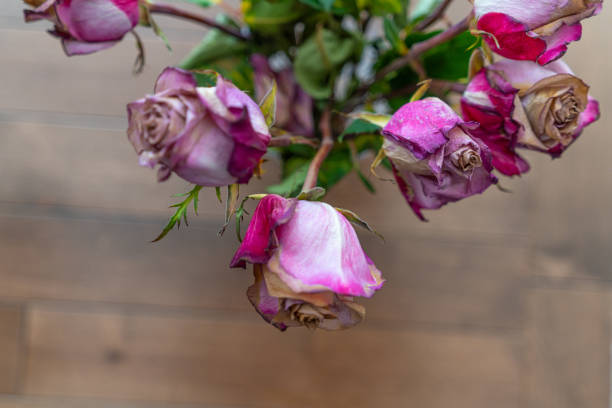 Dried roses left at the door