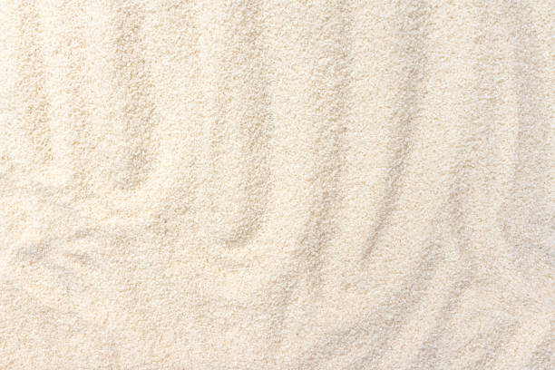 Japanese rice