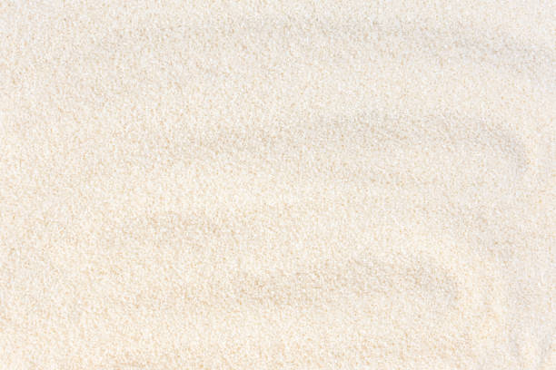 Japanese rice