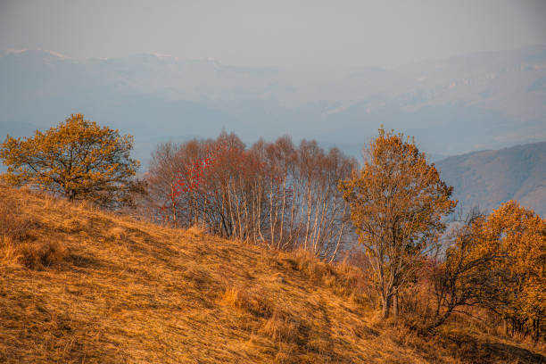 istock beautiful autumn in mountains 2182991427