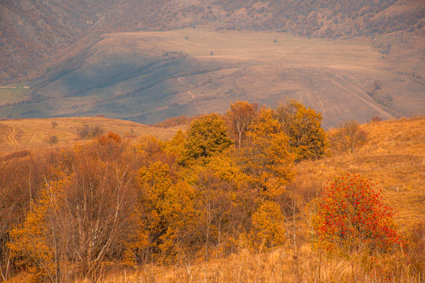 Autumn color landscapes in  Transilvania, Romania