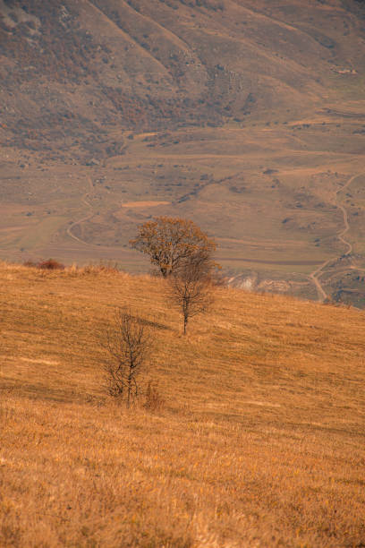 beautiful autumn in mountains