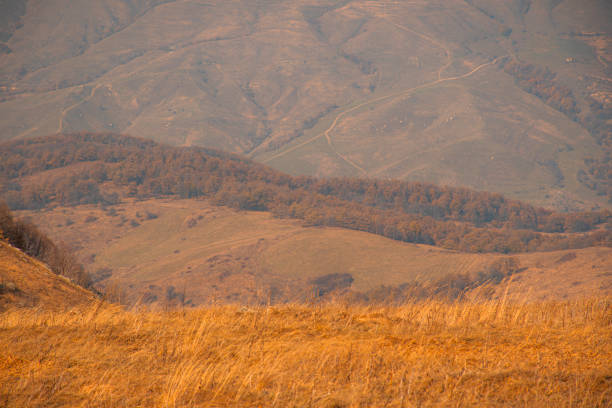 beautiful autumn in mountains