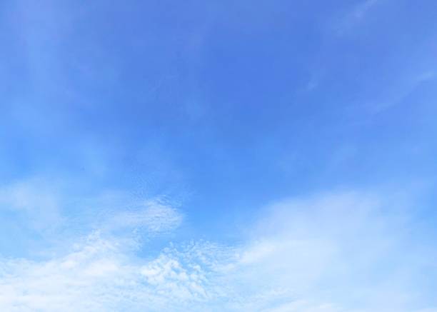 The background is a bright blue sky with white clouds which is very beautiful