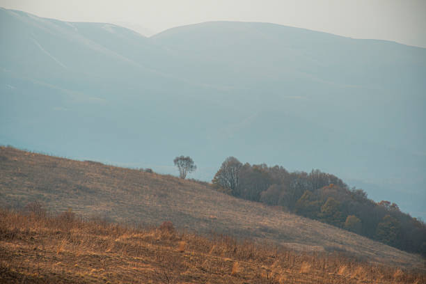 beautiful autumn in mountains