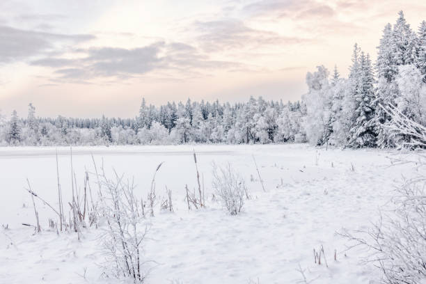 istock Scenic view at a snow covered lake in a wintry forest landscape 2182993357