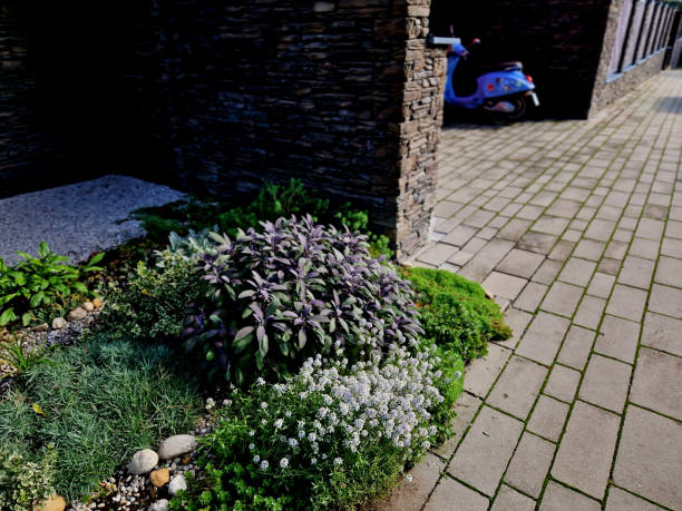 istock the house lined with stone cladding. gutter for drainage of water on the pavement. limestone cladding, front garden, back yard 2182996835