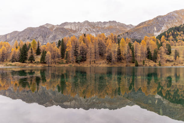 istock Calm Mountain Lake with Autumn Forest Reflection 2182998713