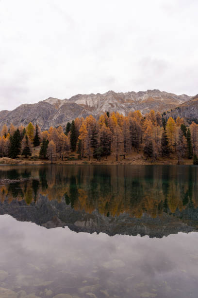 istock Calm Mountain Lake with Autumn Forest Reflection 2182998747