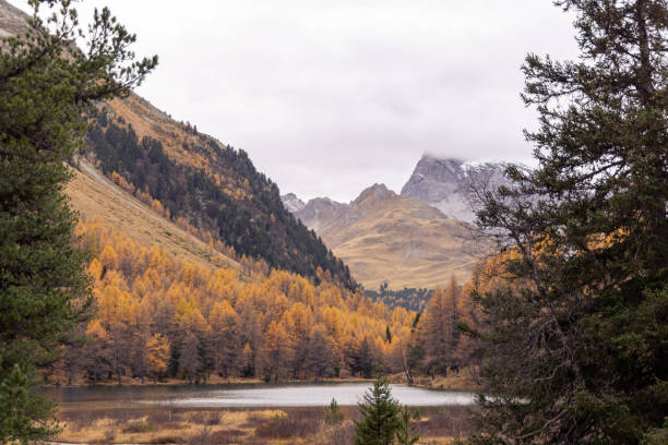 A serene lake nestled in a valley, surrounded by golden autumn trees and rugged mountain peaks under a cloudy sky.