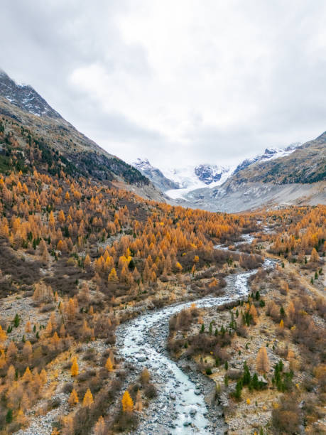 istock Alpine Valley with Autumn Forest and Snow-Capped Mountains 2182999894