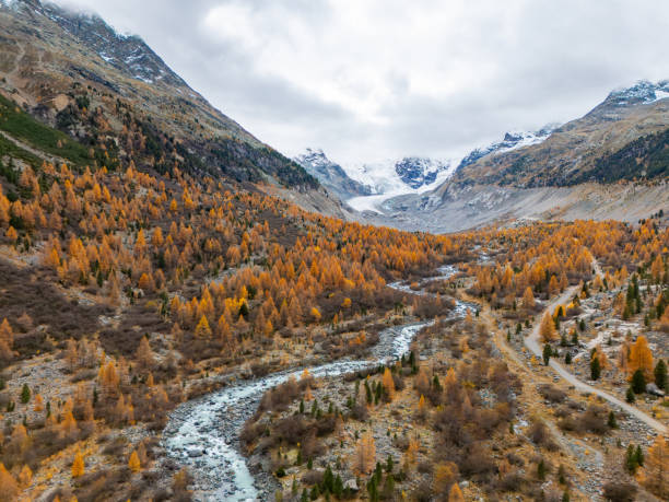 istock Alpine Valley with Autumn Forest and Snow-Capped Mountains 2182999903
