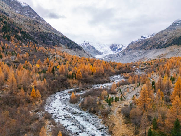 istock Alpine Valley with Autumn Forest and Snow-Capped Mountains 2182999943