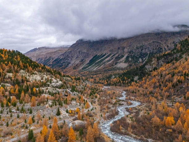 istock Alpine Valley with Autumn Forest and Snow-Capped Mountains 2182999959