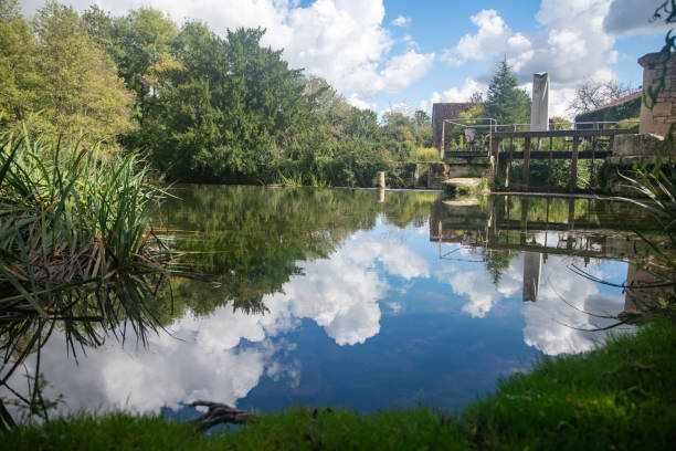 Paysage de quiétude en bord de rivière