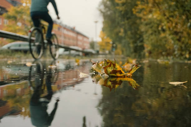 A cyclist rides past a leaf on the ground