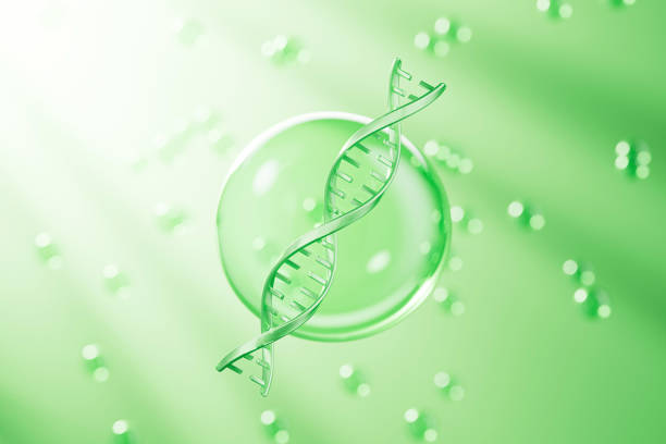 Medical and science concept DNA and cells,3d rendering