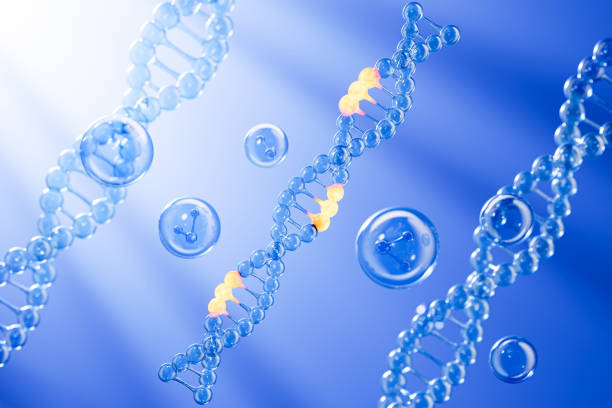 Medical and science concept DNA and cells,3d rendering
